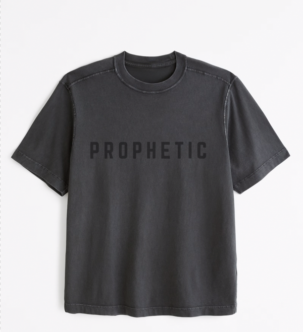 Prophetic T Shirt